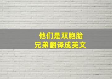 他们是双胞胎兄弟翻译成英文