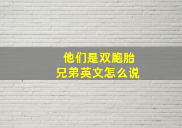 他们是双胞胎兄弟英文怎么说