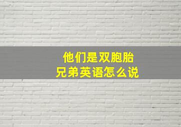 他们是双胞胎兄弟英语怎么说