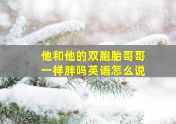 他和他的双胞胎哥哥一样胖吗英语怎么说