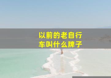 以前的老自行车叫什么牌子