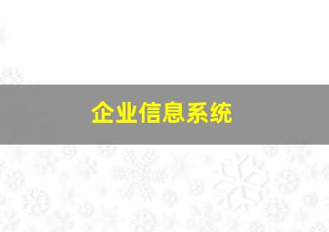 企业信息系统