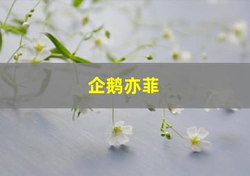 企鹅亦菲