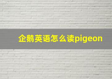 企鹅英语怎么读pigeon