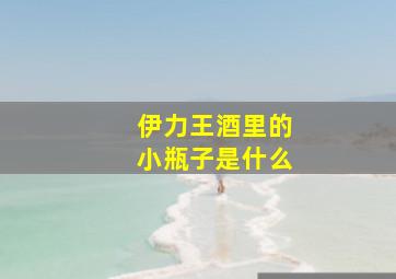 伊力王酒里的小瓶子是什么