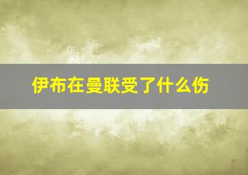 伊布在曼联受了什么伤