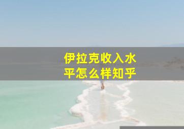 伊拉克收入水平怎么样知乎