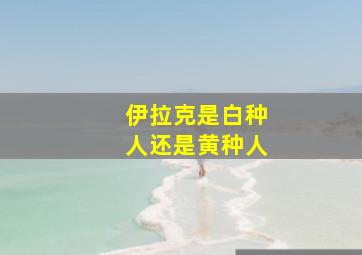 伊拉克是白种人还是黄种人