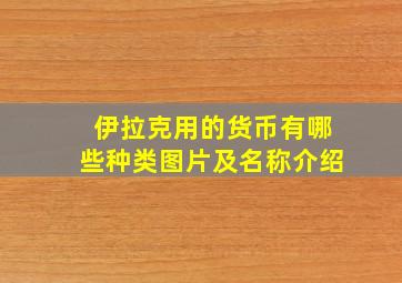 伊拉克用的货币有哪些种类图片及名称介绍