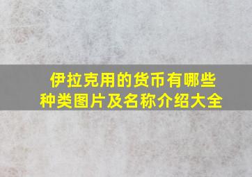 伊拉克用的货币有哪些种类图片及名称介绍大全