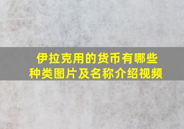 伊拉克用的货币有哪些种类图片及名称介绍视频