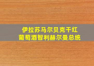 伊拉苏马尔贝克干红葡萄酒智利赫尔曼总统