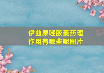 伊曲康唑胶囊药理作用有哪些呢图片