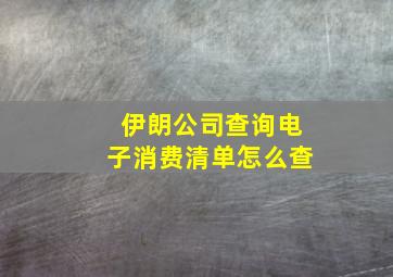 伊朗公司查询电子消费清单怎么查