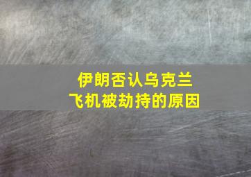 伊朗否认乌克兰飞机被劫持的原因