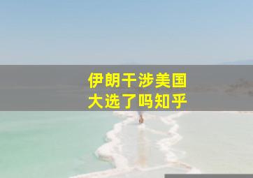 伊朗干涉美国大选了吗知乎