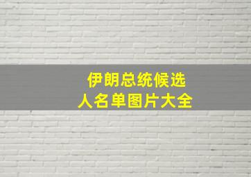 伊朗总统候选人名单图片大全