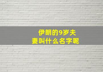 伊朗的9岁夫妻叫什么名字呢