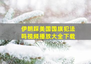 伊朗踩美国国旗犯法吗视频播放大全下载