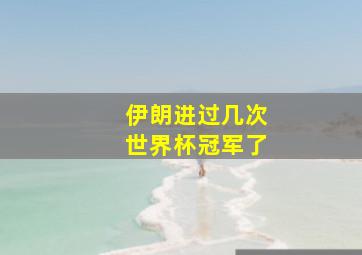 伊朗进过几次世界杯冠军了