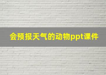 会预报天气的动物ppt课件