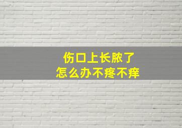 伤口上长脓了怎么办不疼不痒