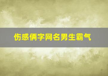 伤感俩字网名男生霸气