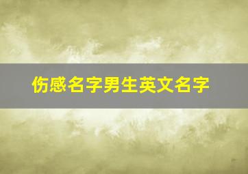 伤感名字男生英文名字