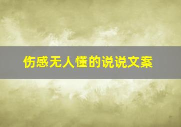 伤感无人懂的说说文案