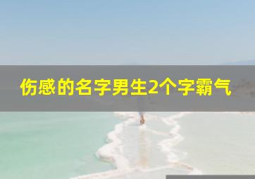 伤感的名字男生2个字霸气