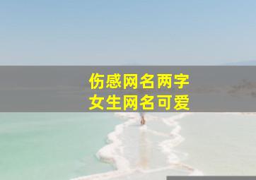 伤感网名两字女生网名可爱