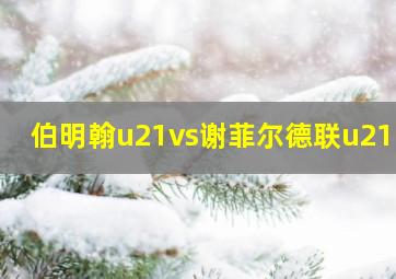 伯明翰u21vs谢菲尔德联u21DS