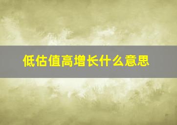 低估值高增长什么意思