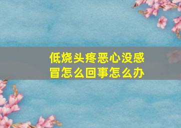 低烧头疼恶心没感冒怎么回事怎么办