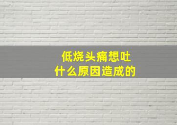 低烧头痛想吐什么原因造成的