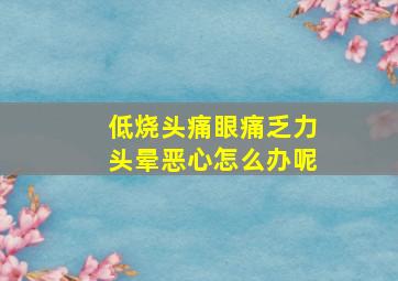 低烧头痛眼痛乏力头晕恶心怎么办呢