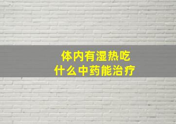 体内有湿热吃什么中药能治疗