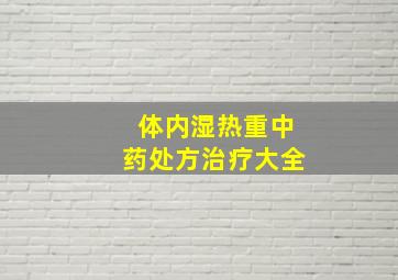 体内湿热重中药处方治疗大全