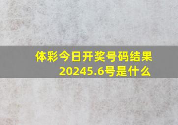 体彩今日开奖号码结果20245.6号是什么