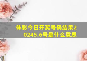 体彩今日开奖号码结果20245.6号是什么意思