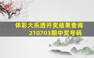 体彩大乐透开奖结果查询210703期中奖号码