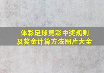 体彩足球竞彩中奖规则及奖金计算方法图片大全