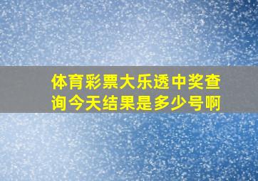 体育彩票大乐透中奖查询今天结果是多少号啊