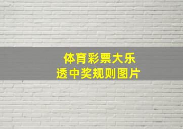 体育彩票大乐透中奖规则图片