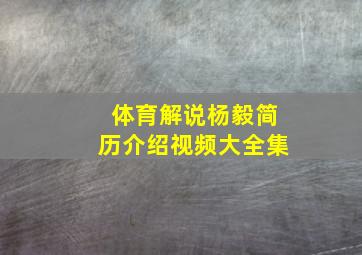 体育解说杨毅简历介绍视频大全集