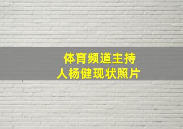 体育频道主持人杨健现状照片