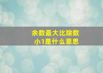 余数最大比除数小1是什么意思