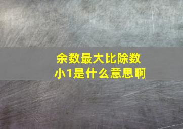 余数最大比除数小1是什么意思啊