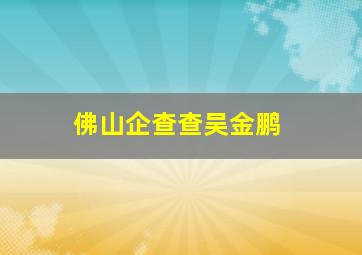 佛山企查查吴金鹏