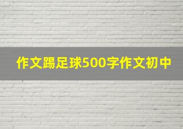 作文踢足球500字作文初中